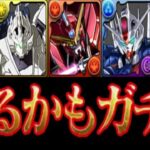 【無料配布】難民救済⁈人権キャラでるかもガチャがヤバすぎる【パズドラ】