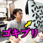 【ドッキリ】上司のモニターの裏にゴキブリ大量に貼ってみた結果