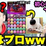 【ドッキリ】パズドラの超激難ダンジョンに挑んだ初心者が実はプロだったら？【極悪チャレンジ】