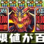 史上最強無課金キャラ⁈極悪ボスもツーパン余裕⁈ 新ビャクレンコウがヤバすぎる【パズドラ】