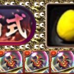 【所持者勝ち組】キンタマがまさかの超絶適正⁈ 爆速全対応アグリがヤバすぎる【パズドラ】