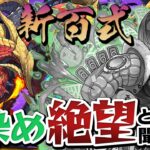 ◯◯で挑むしかない！？出遅れ新百式チャレンジ初見プレイ【パズドラ】