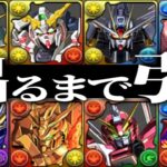 【地獄】ガンダムコラボガチャがヤバすぎる【パズドラ】