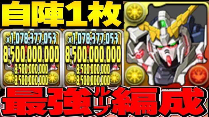 【レシート＆パズル力不要】ヘイストループのユニコーン編成が天才すぎて新百式がおさんぽ【パズドラ】