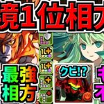 【環境1位の最強相方】まさかの環境1位ゴッドガンダムに最強相爆誕！ダリルバルデ不要に！？性能解説！【パズドラ】