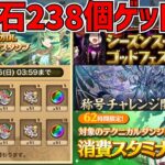 魔法石62個+176個ゲット！新千手チャレンジ&確定枠再販決定！6月のパズドラが神ｗｗ【パズドラ】