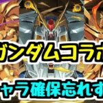 【ガンダムコラボまとめ】迷ってるなら取っちゃおう！ 交換＆購入で確保したいキャラが多すぎる！【パズドラ】