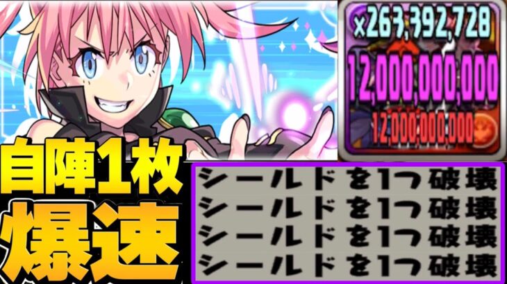 【シールド終了】正解はヘイストループ⁈ ミリム連打でボスも瞬殺ヤバすぎ新百式【パズドラ】