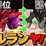 パズドラのセルランがヤバすぎる・・・