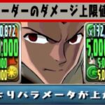 【相性抜群⁈】樽×ゴンさんのカンストループがヤバすぎた新百式【パズドラ】