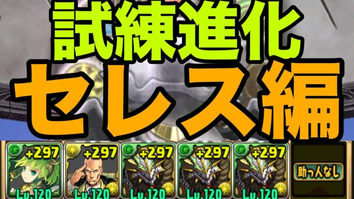 【試練ダンジョン】正月ノルディスずらしで楽々試練進化　セレス編【パズドラ】