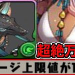 【ぶっ壊れ】最大火力1,800億⁈ アヌビスハトホルの試練進化がヤパすぎる【パズドラ】