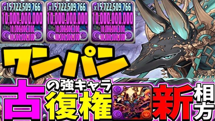夢の毎ターン300億⁈アヌゴウテンが最強すぎた新千手【パズドラ】