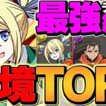 【最強テンプレ】アンジェリーナで新千手攻略！シールド破壊で快適度UP！編成難易度DOWN！【パズドラ】