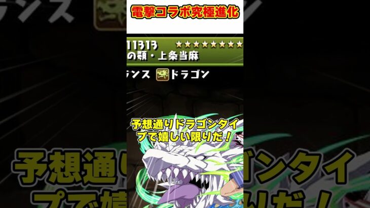 【パズドラ】ドラゴンタイプの上条!!コンボ吸収無効化の御坂!!!電撃コラボ究極進化キャラがやばすぎる!!! #shorts #パズドラ #ドラゴン縛り【ゆっくり実況】