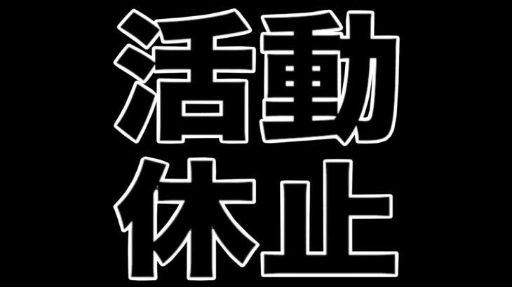 休止の理由・原因  今後の活動について【パズドラ】
