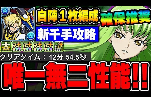 唯一無二！！自陣ジノ1枚の最強編成でCCが大活躍！！新千手を高速攻略！！【コードギアスコラボ】【新千手攻略】【パズドラ実況】
