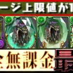 【史上初】無課金なのにぶっ壊れ⁈200億変換ループと無浮遊武器がヤバすぎた新万寿【パズドラ】