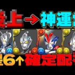 【難民救済】星6以上確定配布⁈ほぼハズレ無しは美味すぎる【パズドラ】