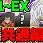 アクセラレータ共通編成でLV1-LVEXを攻略！魔法石50個欲しい人必見！やらないと損！灼熱チャレンジ【パズドラ】