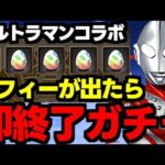 【ガチャ動画】ゾフィーが出たら即終了!?一点狙いの闇鍋ガチャ！【パズドラ】