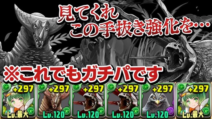 ウルトラマンの手抜き強化軍団でウルトロイドゼロ降臨に挑んでみた【パズドラ】