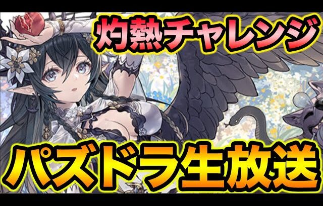 【生放送】ご無沙汰パズドラ配信！灼熱チャレンジとか色々やっていく！【スー☆パズドラ】