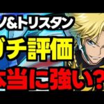 正直に言います。ジノ＆トリスタンガチ評価！メリット＆デメリット含め完全解説！【パズドラ】