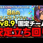 【8月のクエスト】Lv8.9固定チーム！ド安定立ち回り解説！【パズドラ】