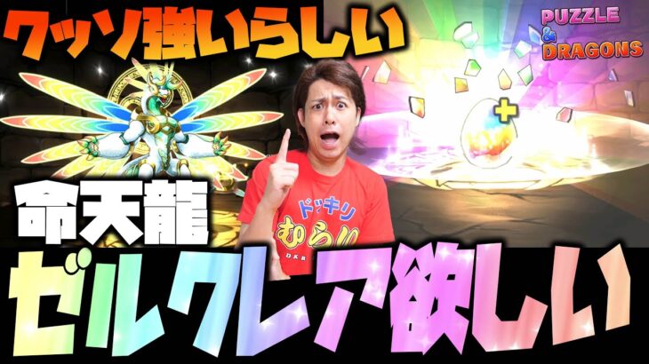 【パズドラ】半端じゃなく強いらしい『命天龍・ゼルクレア』狙ってスーパーゴッドフェスを爆引きするわ【パズル&ドラゴン】