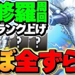 サレサレで裏修羅ずらし周回！経験値3.61倍&ダンボ6！1周8分で5.9億経験値ゲット！！【パズドラ】