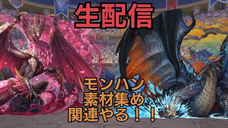 【生配信】モンハン素材集め　復帰勢のパズドラライフ 【KK パズドラ】