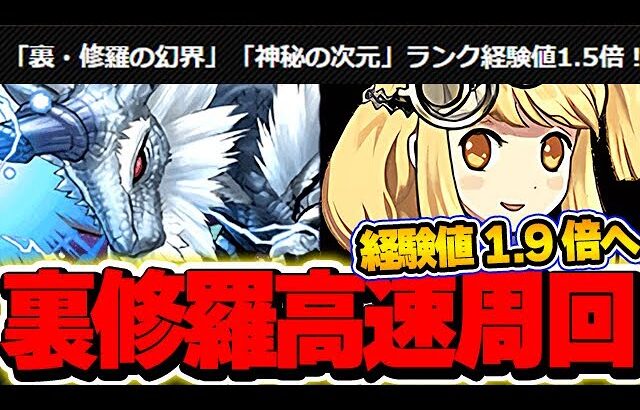 今組んで周回しよう！！サレーネがランク上げ最強キャラに！！シルヴィア×サレーネの裏修羅周回編成！！【パズドラ実況】