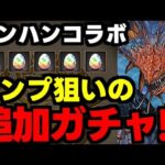 【ガチャ動画】モンハンコラボコンプ狙いで追加ガチャ！！！【パズドラ】