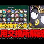 これが結論！！ゴウテンバツ丸は取るべき？交換にすべき弾についても詳しく解説！！【サンリオコラボ】【パズドラ実況】