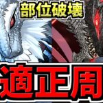 【最適正】ずらし爆速！ジンオウガ亜種降臨周回！キリン編成！部位破壊で最強武器をゲットしよう！代用・立ち回り解説！モンハンコラボ【パズドラ】