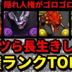【🚨絶対に交換の弾にするな】ラフィーネコは人権⁉️モンハンコラボの長生きキャラ解説‼️（モンスターハンター、ネロミェール、攻略、周回、テンプレ）【パズドラ】