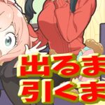 最強キャラ出るまで引くます！【パズドラ スパイファミリーコラボ】