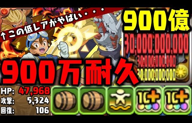 【八神太一】900億出すHPが全キャラ1位のキャラWWWWWWWW 【デジモンコラボ】【ダックス】【パズドラ実況】