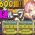 【ぶっ壊れ】部位破壊適正MAX ⁈ハロウィンコットンがヤバすぎた新凶兆【パズドラ】