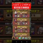 【パズドラ】ハロウィンガチャ暫定版交換解説！#パズドラ#デジモン#shorts