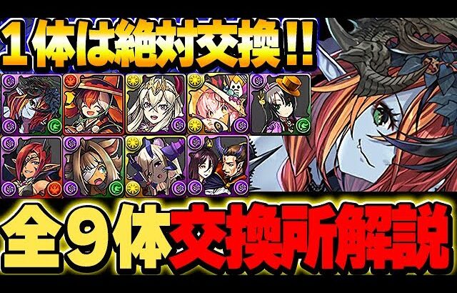 あいつは必ず交換しておこう！ハロウィンキャラ全９体の交換所解説！！【ハロウィンイベント】【パズドラ実況】