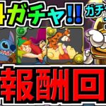 【全報酬回収】無料ガチャ2,3回分GET！ガチャドラフィーバー立ち回り簡単2ステップ解説！ディズニーイベント【パズドラ】