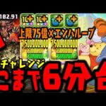【プー森】” 謎の立ち回り ” で十億チャレンジ爆速で進むのがプーさんなんだからWWWWWWW【ディズニーピクセルRPGコラボ】【ダックス】【パズドラ実況】