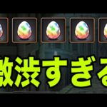 ハイパー激渋デジモンコラボガチャ【パズドラ】