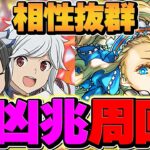 【新時代】ベル・クラネル&ヘスティア×ノアで新凶兆周回！上限100億×70%自動回復ループｗｗｗ【パズドラ】