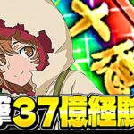 【新時代】一撃37億！リリルカ×アイズのランク上げ編成がヤバすぎた未知ラッシュ【パズドラ】