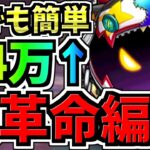 【大革命】ランダン！誰でも“ずらし“で王冠余裕！44万点↑メガドラゴン杯！ドラウンジョーカー(ピエドラ)編成！代用・立ち回り解説！【パズドラ】