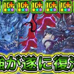 【最強】450億＆W吸収無効＆全員攻撃力1.5倍！？ 上方修正した『グランエルヴ』×『クロトビ』編成で新億兆に挑戦したらやばすぎた！！！！ 【パズドラ】