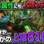 またもや新フェス限！最大810億ダメージ出せるシルヴァが実装されるが…【パズドラ】